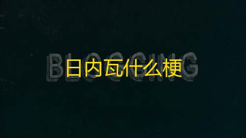 三角洲辅助低价发卡网日内瓦什么梗